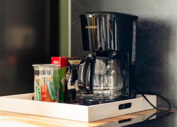 Melix - Elegant - 2-3 Couchages ルルド